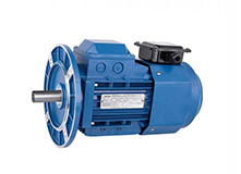 Variable Speed AC Electric Motor