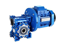 Worm Gear Speed Reducer