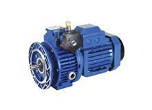 Mechanical Variable Speed Reducer